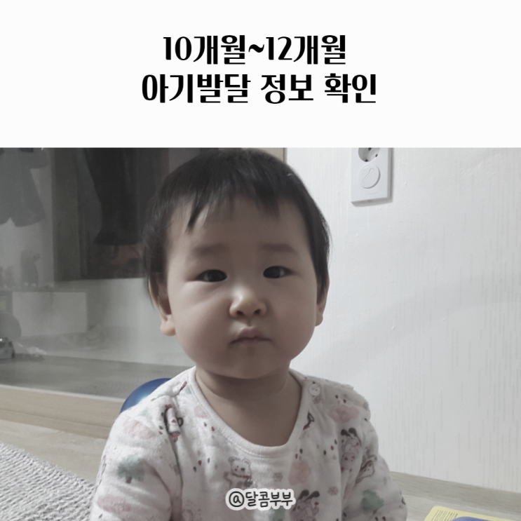 생후 10개월~12개월 아기발달 정보 확인하기 : 네이버 블로그