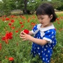 [2022년 6월] 서울 근교 아이와 함께 가기 좋은 곳 : 식물원/수목원 물과 꽃의 정원 세미원 나들이 :)