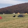 [강원도] 평창,발왕산,선자령-가을풍경