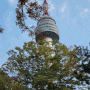 서울 ) 단풍명소 , 가을의 N 서울타워 남산타워에 갔어요!