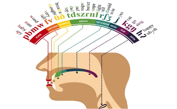 Alcohol and Slurred Speech : 네이버 블로그