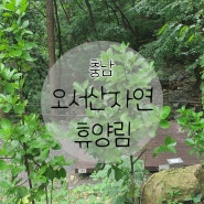 충남 보령 오서산 자연휴양림 야영장 소개