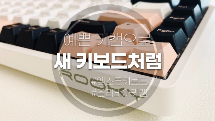 올리비아 키캡 체리 PBT 엠스톤 루키 Rooky BT68 키보드에 장착하기 : 네이버 블로그