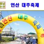 대전근교 여행 논산 가을축제 연산대추축제