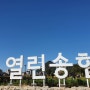 송현동부지 100년만에 임시개방 열린송현 녹지광장 주말 감고당길마켓