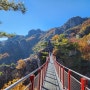 대둔산 케이블카 구름다리 타고 가을여행, 단풍절정시기