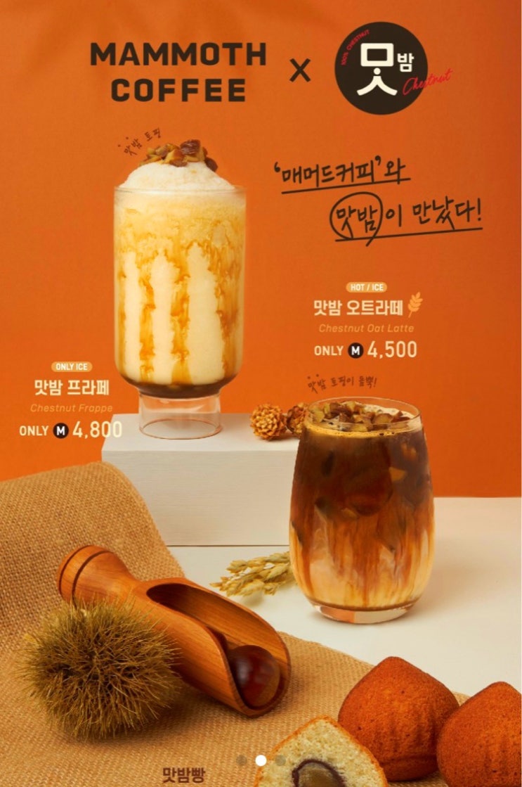 [매머드커피 추천] 매머드커피X맛밤 콜라보 가을음료후기 “맛밤프라페, 맛밤오트라떼, 맛밤빵” 존맛탱 강추후기 : 네이버 블로그