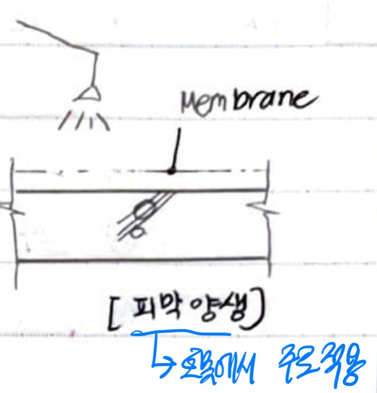콘크리트의 피막양생(Membrane Curing) : 네이버 블로그