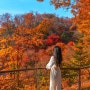 경기도 광주 곤지암 화담숲 모노레일 예약 가을 단풍명소