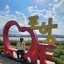 포항 주말 나들이 산책하기 좋은 형산강 장미공원 핑크 뮬리