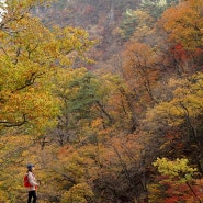 설악산 흘림골 주전골 2022.10.21