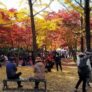 <등산>소요산 단풍 산행을 다녀왔습니다. +입장료 +주차비용