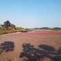 인천 소래습지생태공원