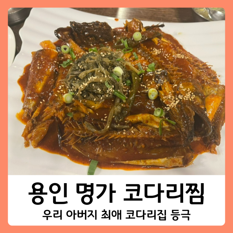 용인 명가코다리찜 용인맛집 처인구 맛집 에버랜드 주변 맛집 : 네이버 블로그