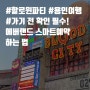 [국내여행]에버랜드 놀이기구 스마트 예약방법