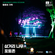 고창 고인돌 유적 미디어아트 Photo Zone 삼거리 나무 포토존