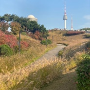 남산 산책 [ 남산공원 ] [ 남산 엘리베이터 ] [ 백범광장 ]