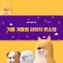 강아지 월동 준비 fw 시즌 강아지옷 쇼핑