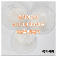 중기이유식 소고기감자오이죽 6배죽 만드는 법(불린쌀 이용)