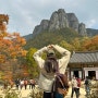 경북 청송 주왕산 국립공원 가을 단풍