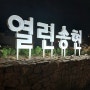 110년 만에 개방한 서울 종로 안국역 근처 '열린송현 녹지광장'