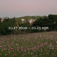10.17 mon ~ 10.23 sun