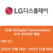[디스플레이][LG디스플레이] SCM DX(Digital Transformation) 분야 경력사원 채용 ( ~11월 06일)
