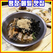 평창 올림픽시장 맛집 메밀나라 가격 후기