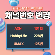 🔔 AXN/HobbyLife(하비라이프)/UMAX 채널 번호 변경🔔