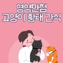 영양만점 고양이 황태 간식으로 만들어 봐요.