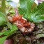 [울산서생]맛있는 돼지갈비 소갈비살 참숯구이집 / 맛있는고깃집
