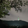 [서울시 공공예약] 남산 둘레길 야간 산행 & 소나무 힐링 숲