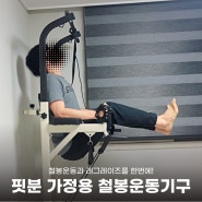 핏분 치닝디핑 가정용 철봉운동 기구로 레그레이즈와 턱걸이 운동하기