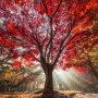[11월 안부문자] 낙엽이 지는 가을 안부인사 전해보세요!