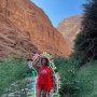 [중동 일기] 오만 여행의 꽃 Wadi Shab, 마지막 이야기