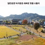 서울 볼거리 열린송현 녹지광장 새로운 핫플 산책
