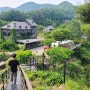 대전 근교 옥천/대청호 가볼 만한 곳 : 수생식물학습원 예약 필수 유럽 같은 천상의 정원