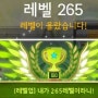 메이플스토리 아케인 다크나이트 다케다 신겐 LV.265UP