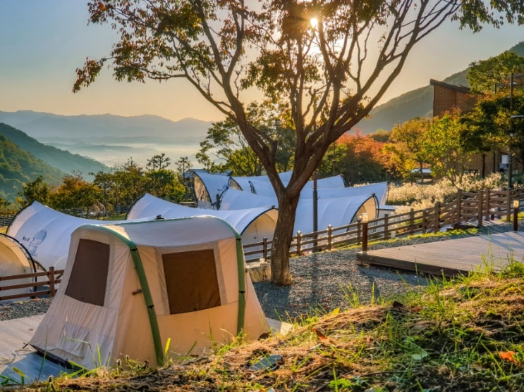 경남 진주 월아산 자연휴양림 캠핑, 숲속의 진주/우드랜드...