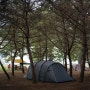 텐트가 왔다, 첫 피칭하러 <밀양 기회송림 야영장> 으로 / 부산 경남 캠핑장 장단점