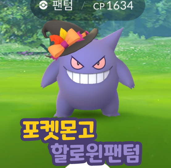 포켓몬고 장식을 단 (마녀 모자 쓴) 팬텀 3성 레이드 : 네이버 블로그