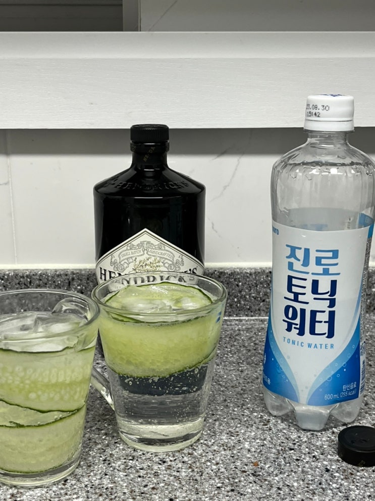 핸드릭스 진 / 진토닉 / 술 추천 : 네이버 블로그