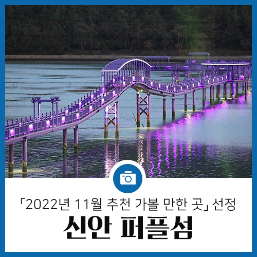 「2022년 11월 추천 가볼 만한 곳」으로 선정된 신안 퍼플섬