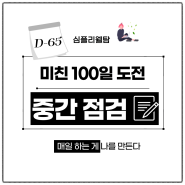 하던 일 멈추고 리뷰. 미친도전 100일 중간 점검