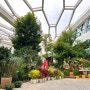 마곡 나들이 추천 ‘서울식물원’