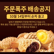 단팥붕어빵 겨울의 단짝친구