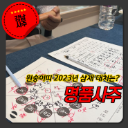 서울사주 명품사주 2023년 삼재 원숭이띠 개운처방 후기