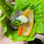 전남 무안 몽탄 존맛집 '두암식당'