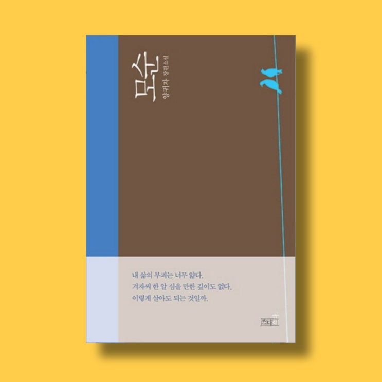 양귀자 모순, 스테디셀러 소설 추천, 모순 뜻, 줄거리 : 네이버 블로그
