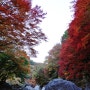 [제주/애월] 가을이 물드는 천아계곡 : 단풍놀이명소